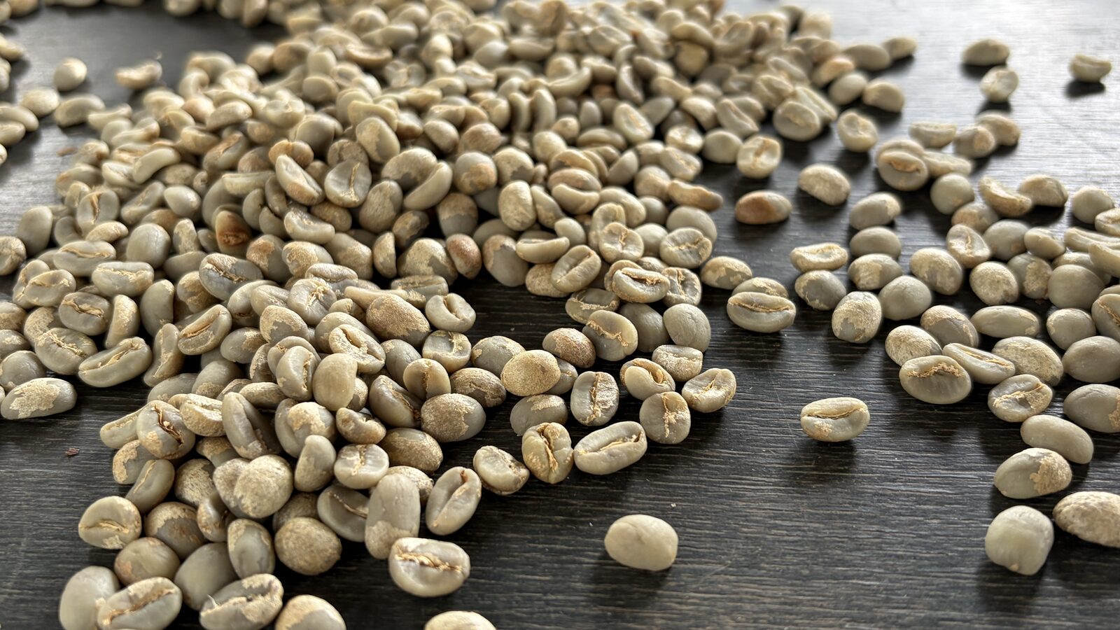 精製を終えたコーヒーの生豆